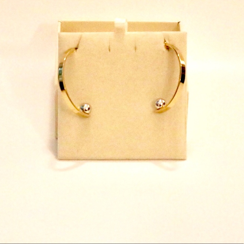 Two Toned Earrings
